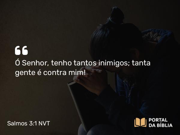 Salmos 3:1 NVT - Ó SENHOR, tenho tantos inimigos; tanta gente é contra mim!