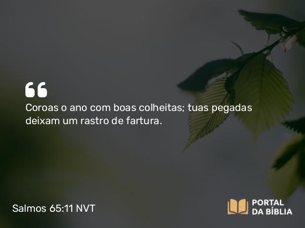 Salmos 65:11 NVT - Coroas o ano com boas colheitas; tuas pegadas deixam um rastro de fartura.