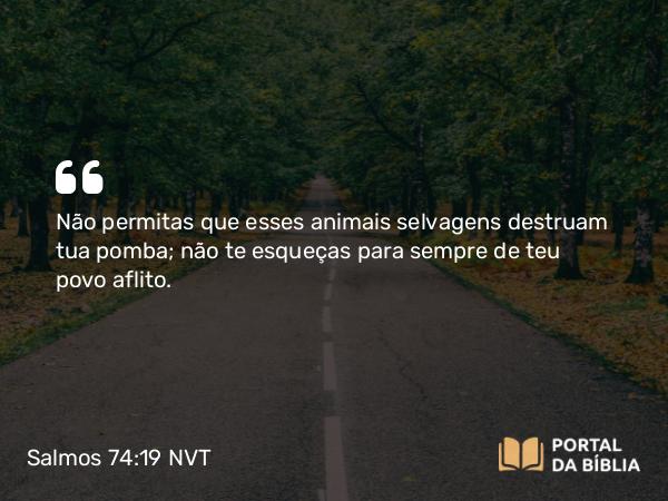 Salmos 74:19 NVT - Não permitas que esses animais selvagens destruam tua pomba; não te esqueças para sempre de teu povo aflito.