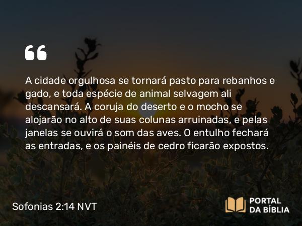 Sofonias 2:14 NVT - A cidade orgulhosa se tornará pasto para rebanhos e gado, e toda espécie de animal selvagem ali descansará. A coruja do deserto e o mocho se alojarão no alto de suas colunas arruinadas, e pelas janelas se ouvirá o som das aves. O entulho fechará as entradas, e os painéis de cedro ficarão expostos.