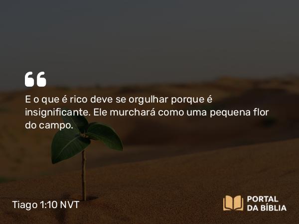 Tiago 1:10-11 NVT - E o que é rico deve se orgulhar porque é insignificante. Ele murchará como uma pequena flor do campo.