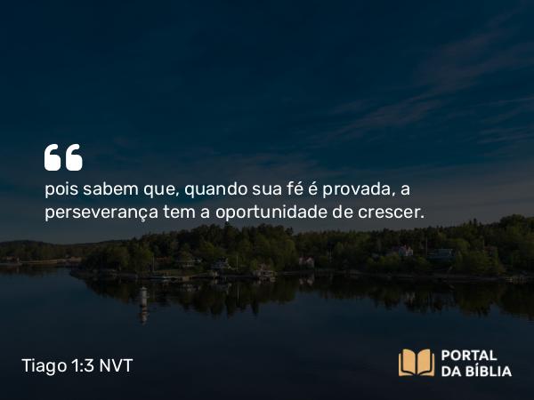 Tiago 1:3-4 NVT - pois sabem que, quando sua fé é provada, a perseverança tem a oportunidade de crescer.