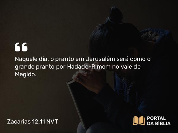 Zacarias 12:11 NVT - Naquele dia, o pranto em Jerusalém será como o grande pranto por Hadade-Rimom no vale de Megido.